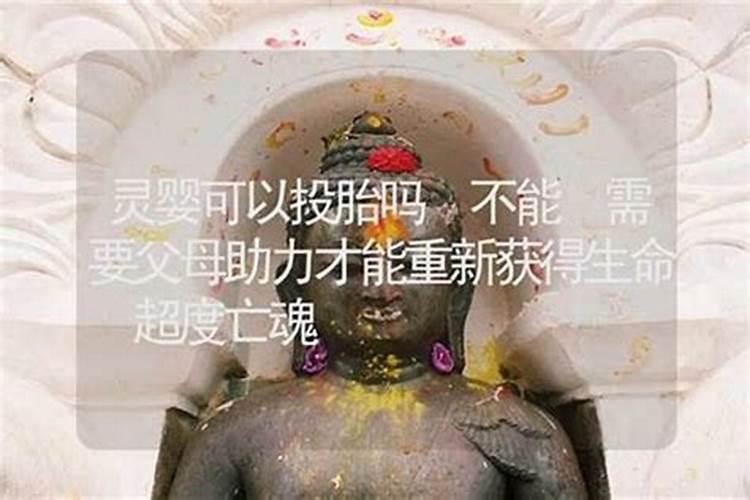 超度婴灵会立即投胎吗？