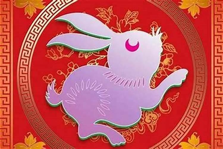 男子属兔女子属马能合婚吗？