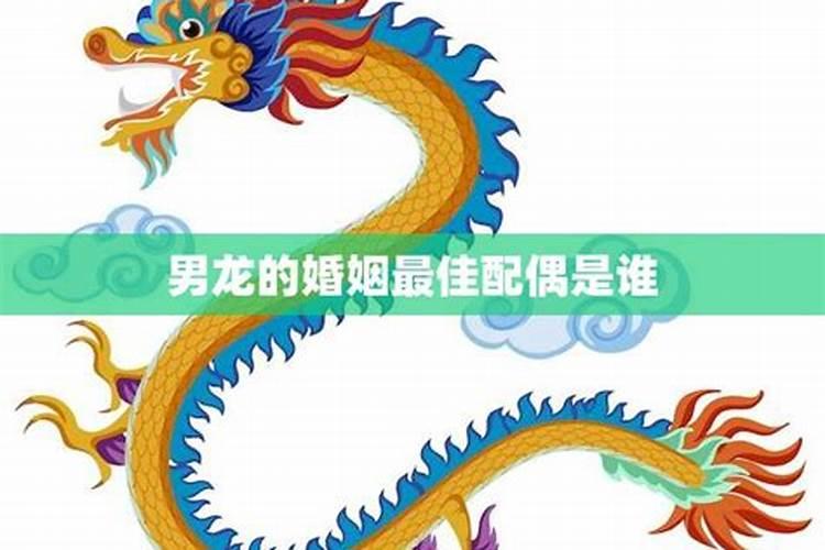 男龙与十二生肖的缘分：谁才是最佳配偶？
