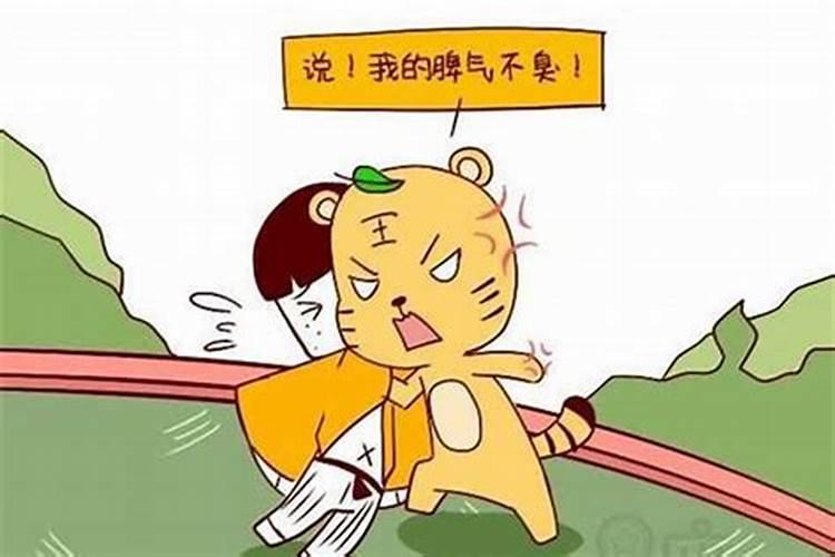 十二生肖最坏的动物是谁？