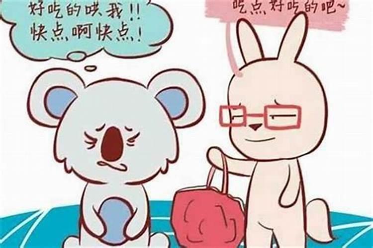 属兔和属鼠的合婚吗？