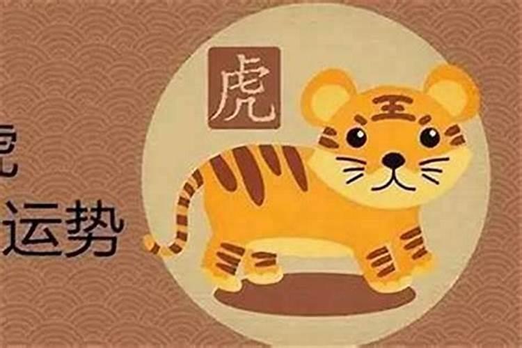 属虎的本命年结婚好吗女人？