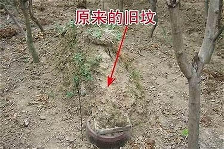 逆境转势：阳宅风水不佳的改善之道