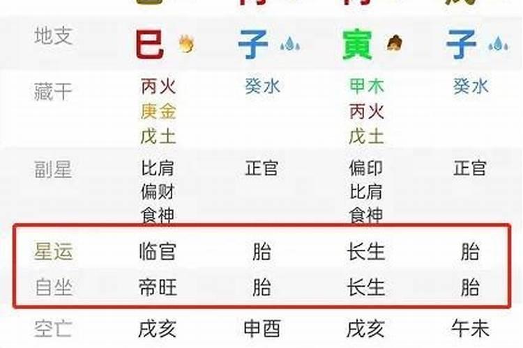 八字星运中的墓是什么意思？