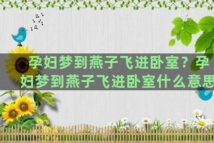 燕子飞进卧室什么兆头？