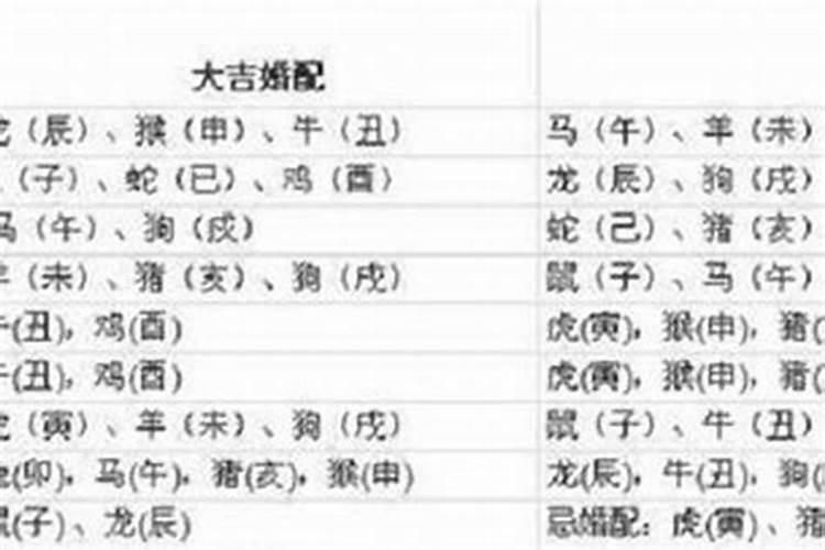 属牛和哪些属相婚配？