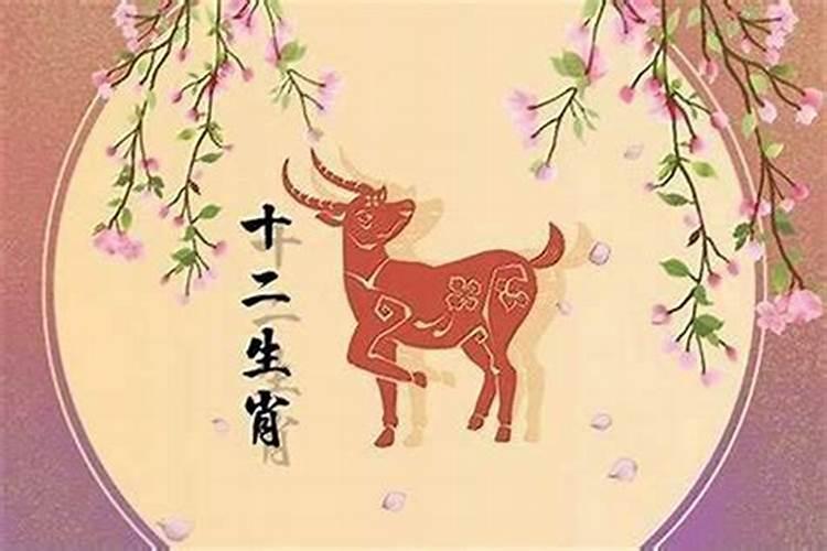 兔与马属相婚配：八字命理解读与婚姻建议
