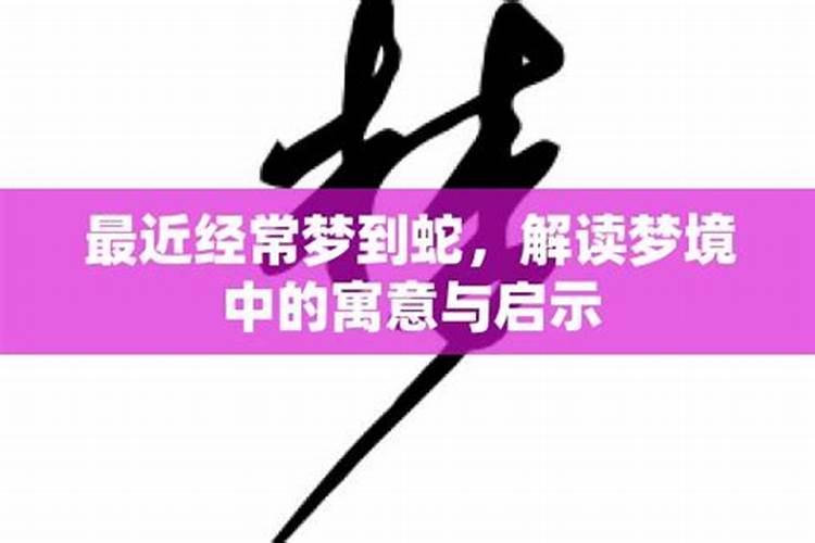 梦境中的蛇：寓意与心理解读