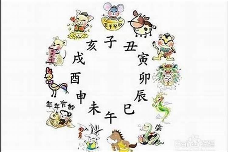 子时属相是什么生肖？