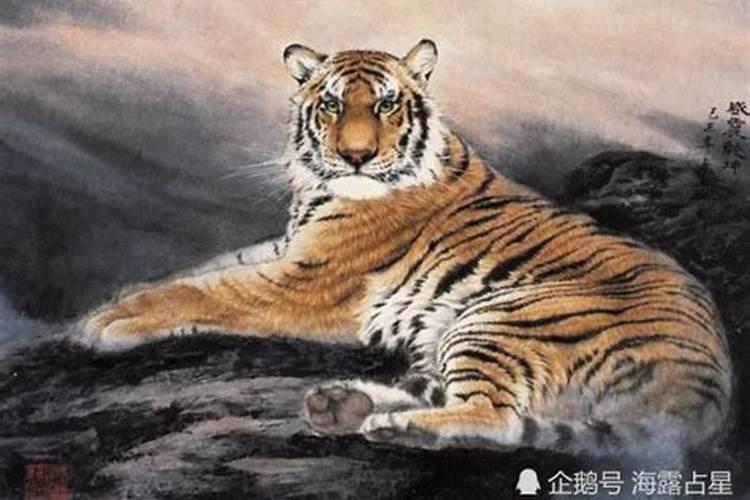 1986年什么命？