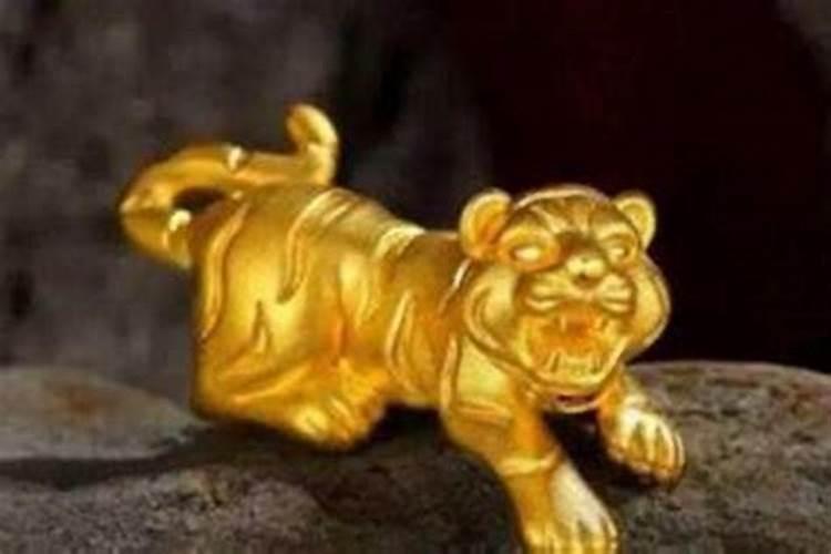 1986年虎适合戴金吗？——探讨生肖与饰品的神秘联系