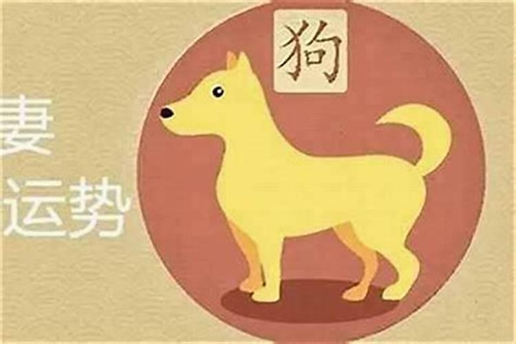 属狗的婚配什么属相？