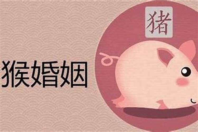 猪猴婚配：八字命理解析与建议