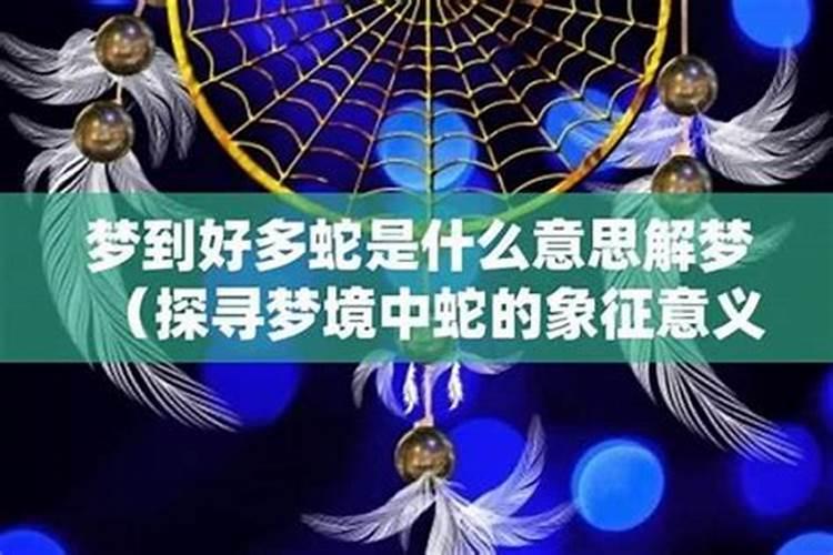 梦见大鸟：探寻梦境中的神秘象征