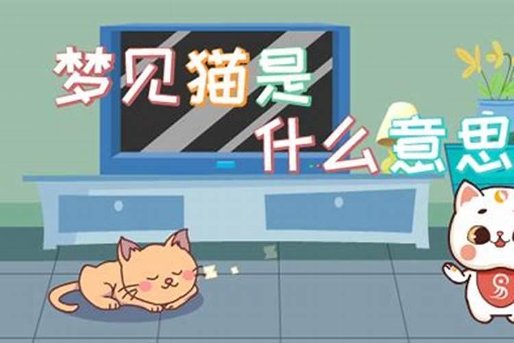 梦到猫是什么意思？