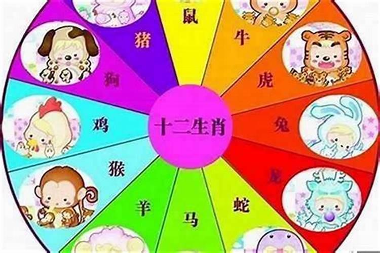 一九七五年属什么生肖？