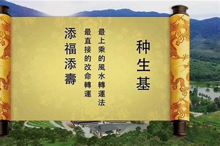 种生基是还阴债吗？