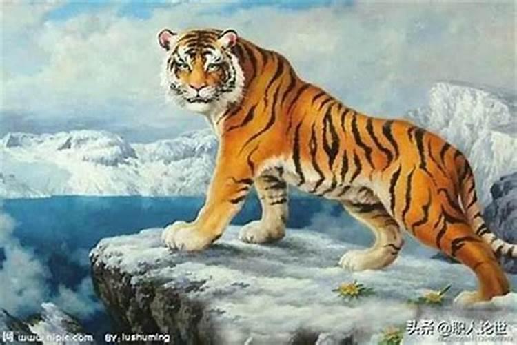 怎样化解虎猴不合婚姻？