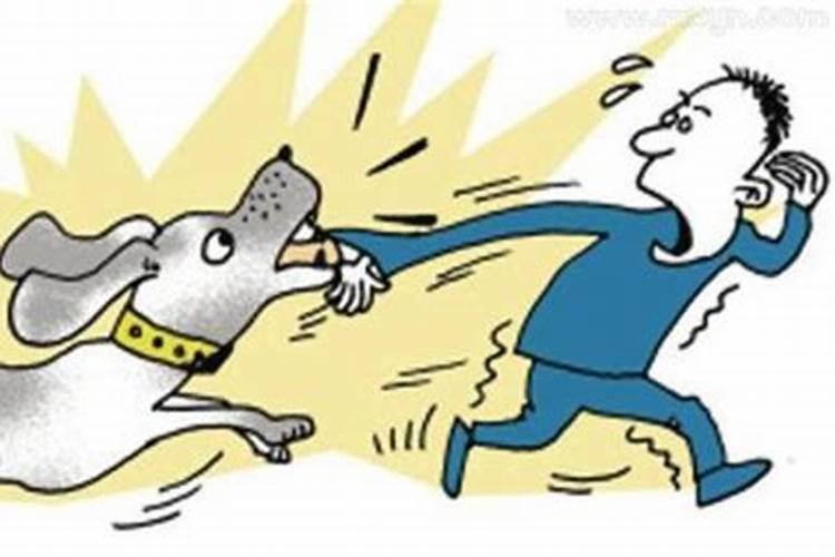 梦见亲人被狗咬了什么预兆？