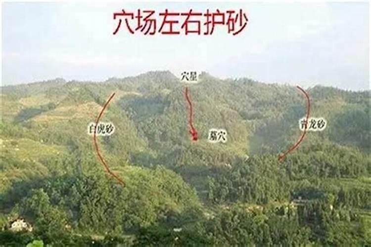 揭秘风水中的吊冲方法：和谐空间的调和术？