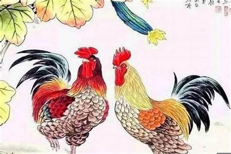 属鸡和属猴合婚吗？