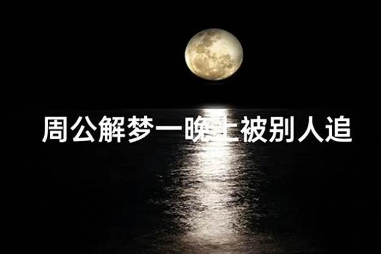 猫的梦魇：梦见被猫追杀的预兆解析？