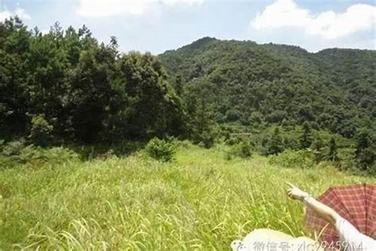 探索风水宝地：寻找和谐居住的理想环境