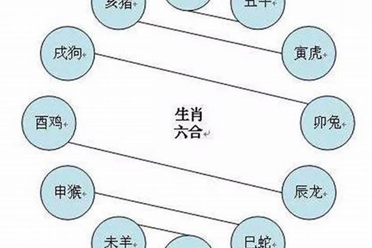 探索马羊之间的属相缘分：理想的子女属相选择