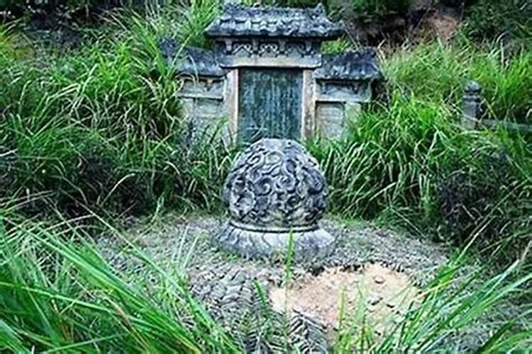 墓地风水有白蚁巢穴是不是风水好？