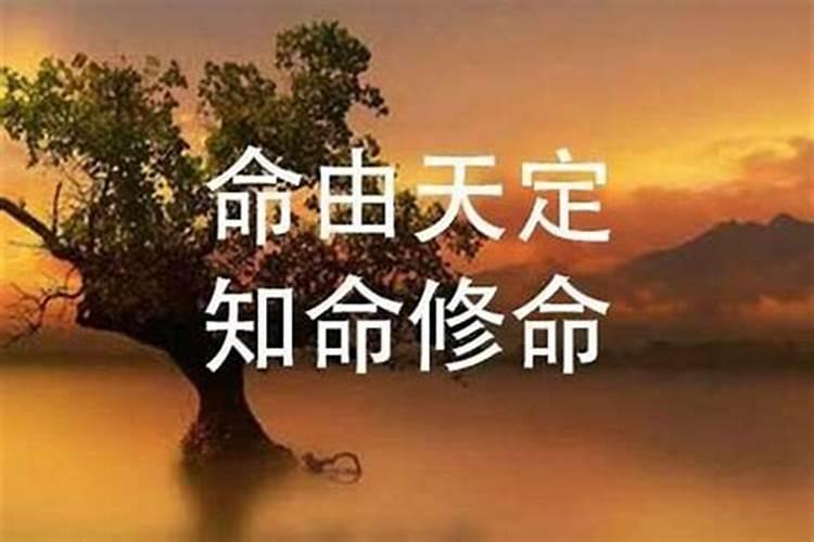 命由天定，运由己造
