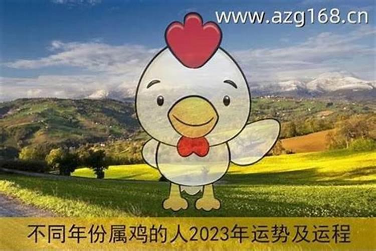 属鸡的今年家庭怎么样？——解读2024年家庭运势