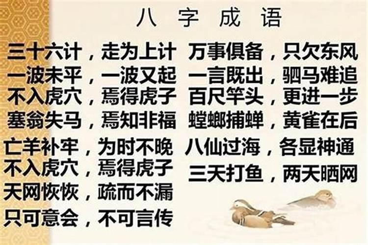 八字婚姻成语有哪些？