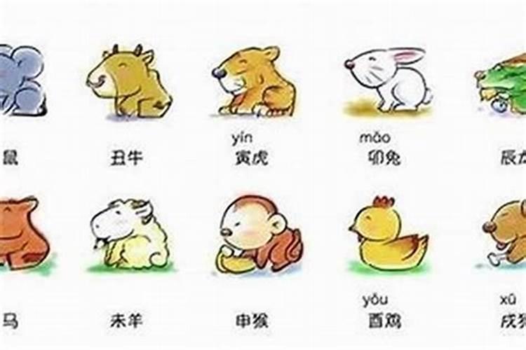 哪个属相的女生最好找对象？
