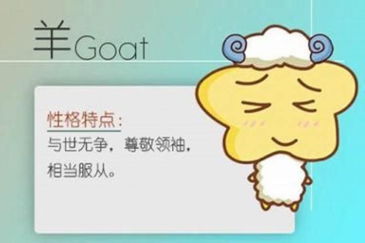 羊和兔的八字合吗？
