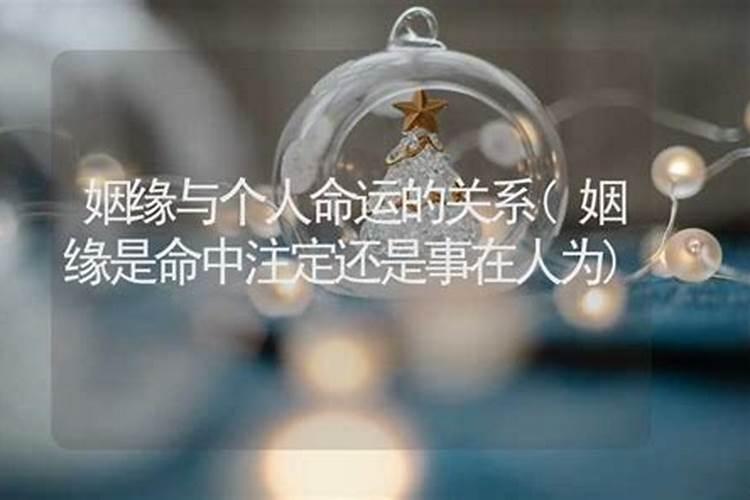 探究财运之谜：命中注定还是事在人为？
