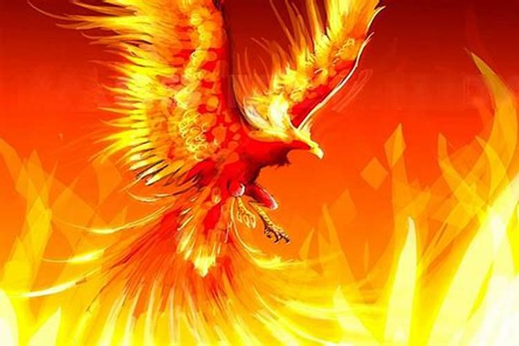 梦见凤凰：探寻梦境中的吉祥之兆