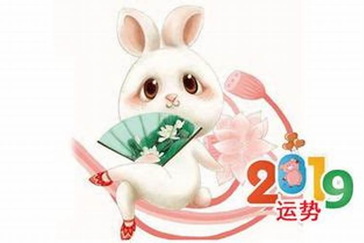 兔年财运亨通：揭秘属兔人的财富密码