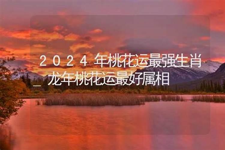 2024年哪个星座桃花运最好？