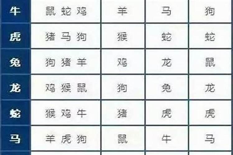 天赐良缘：24岁牛年生人的生肖配对奥秘