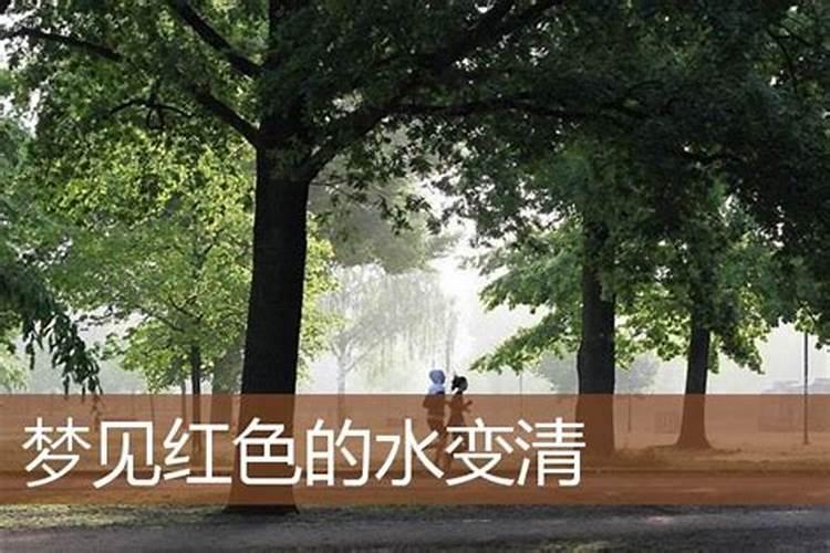 梦见红色的水是什么预兆？
