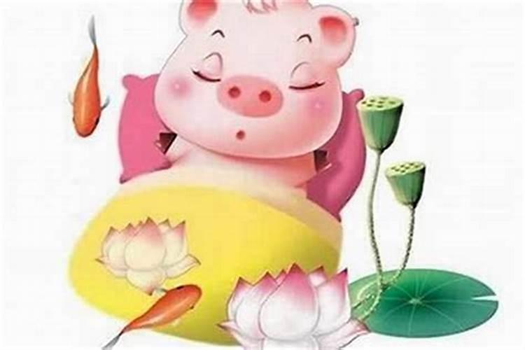 属猪人今日运势解析：如何避免小人干扰？