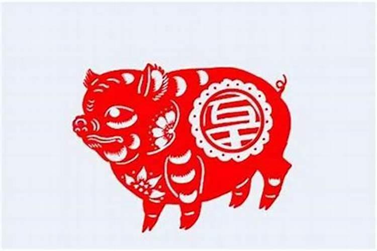 属猪的和什么属相最合婚？