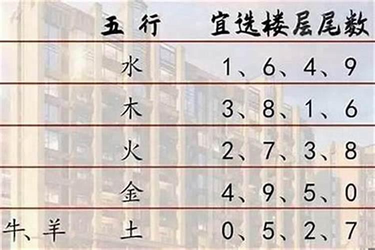 属猪人士的楼层选择：风水视角下的居住考量