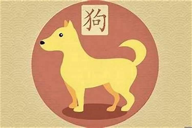 揭秘生肖狗的天赐良缘：究竟哪些生肖与之最为契合？