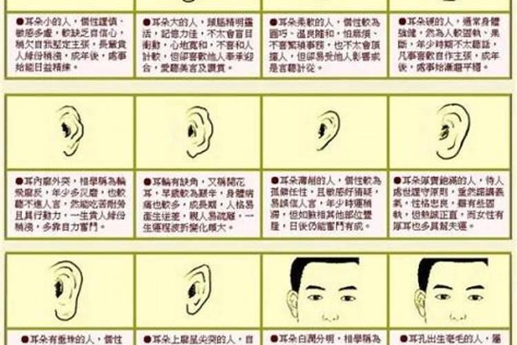 探秘耳垂上翘的命理奥秘：一种独特的面相解读