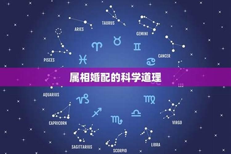 属相婚配有科学道理吗？