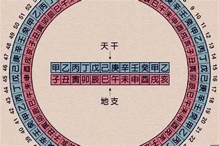 去年是什么年2024年属什么年？