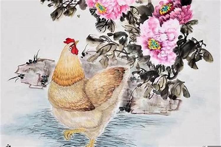属鸡的人今年运气如何呀？