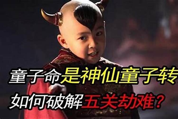 童子命是神仙选弟子吗？