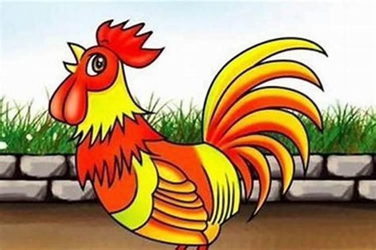 属鸡的和属猪的能合婚吗？